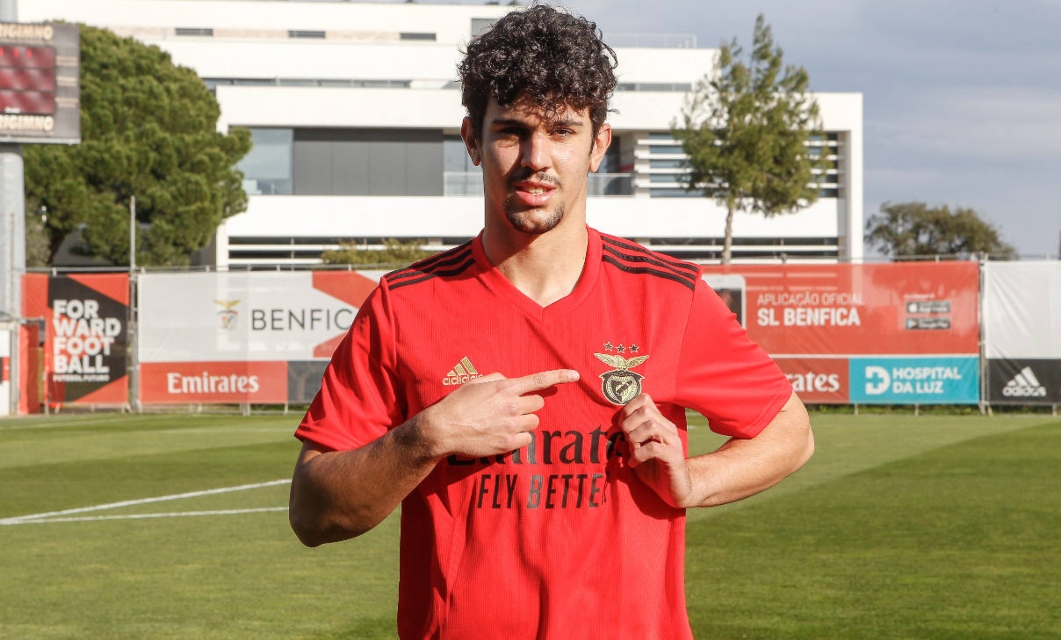 Tomas-Araujo.png.webp