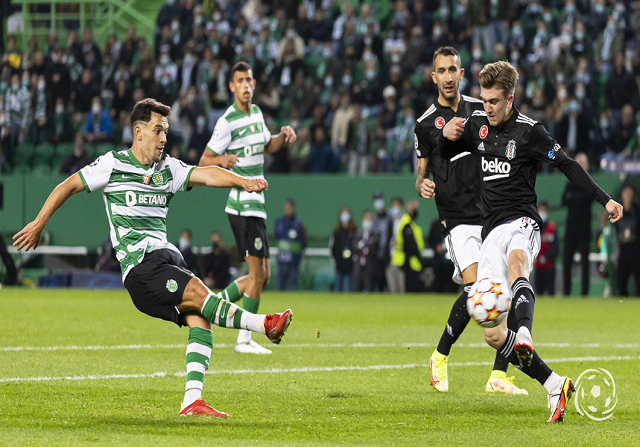 Sporting CP on X: ⏹️ FINAL DO JOGO: Grande noite em Alvalade
