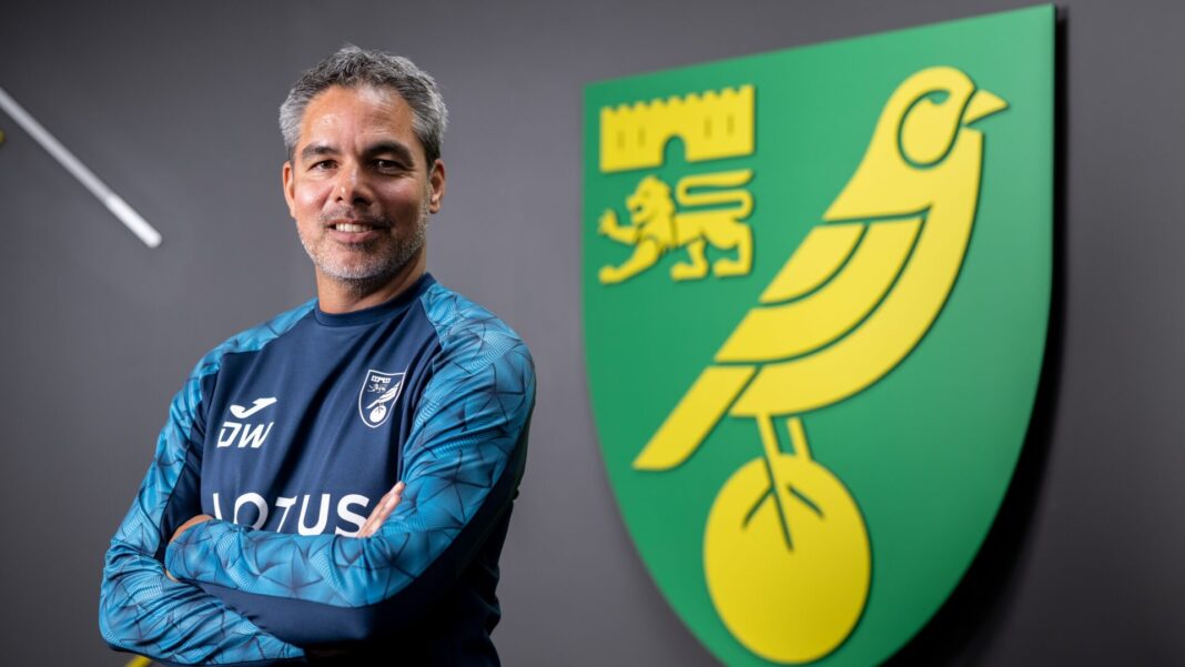 David Wagner Norwich City