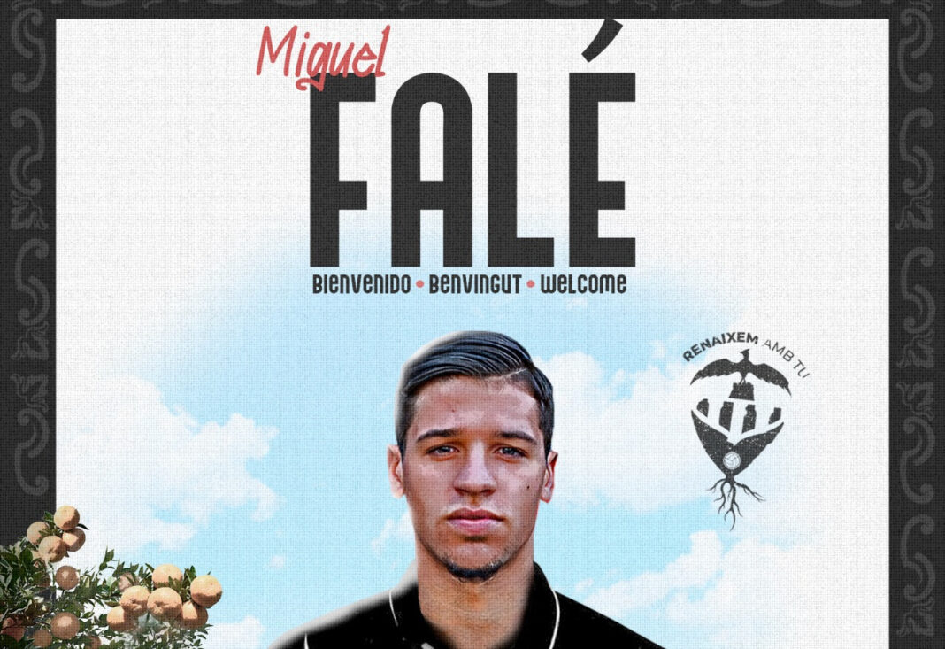Miguel Falé