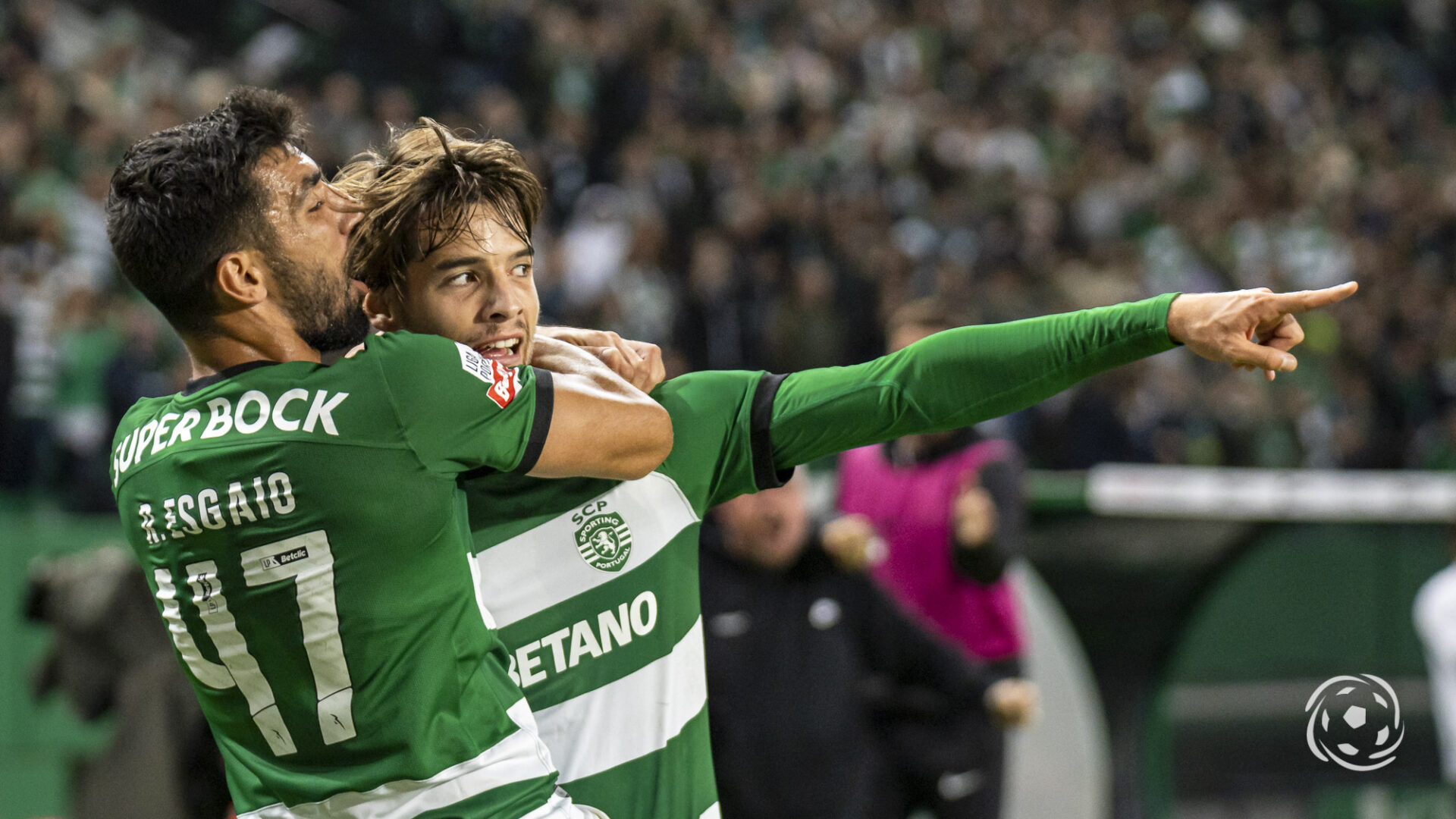 Sporting vence Benfica e empata final do Nacional de basquetebol, Outras  Modalidades