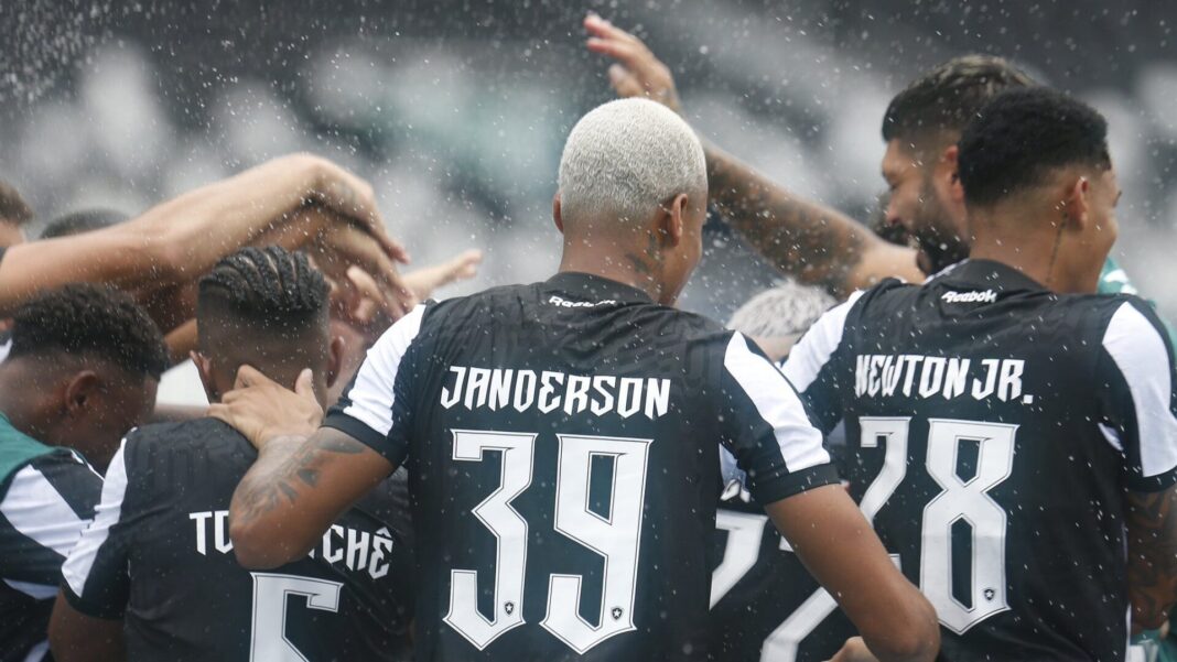 Botafogo Jogadores