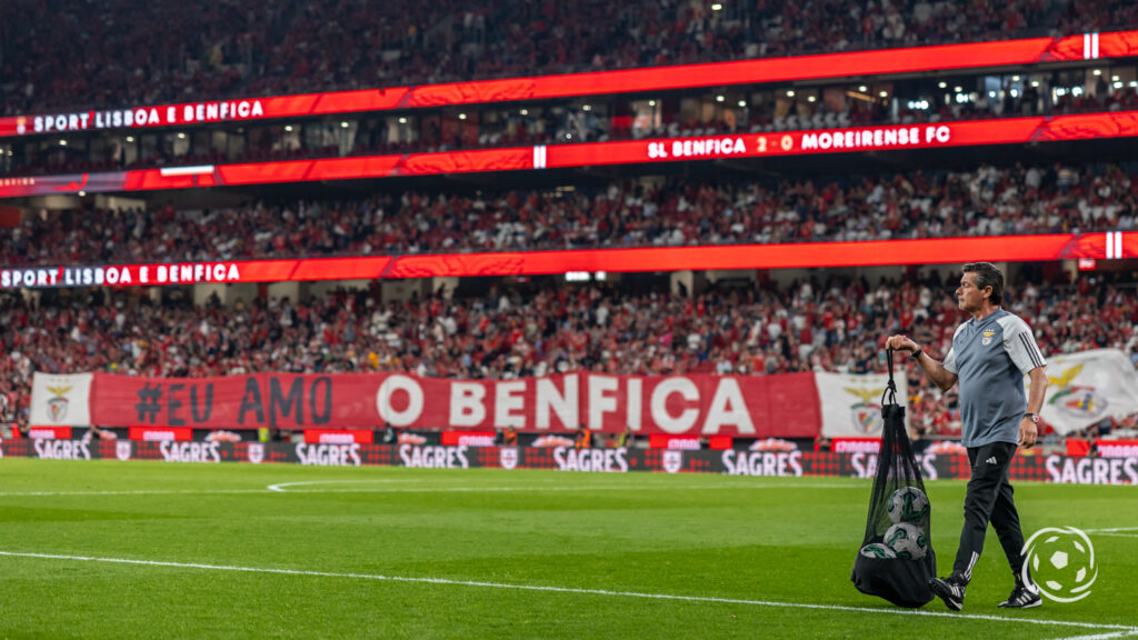 Benfica estádio