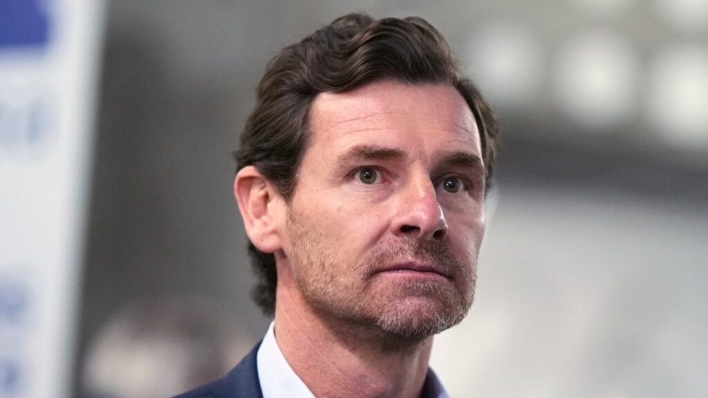 André Villas-Boas FC Porto