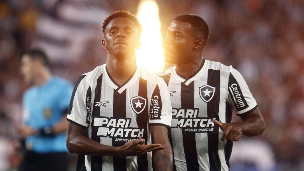 Botafogo Jogadores Brasileirão
