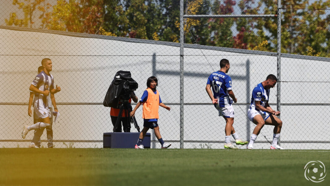 Vasco Sousa a jogar pelo FC Porto