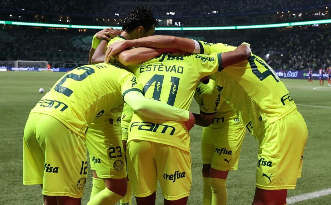 Palmeiras jogadores