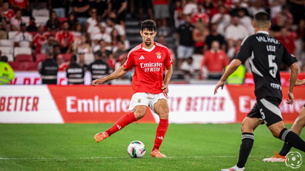 Tomás Araújo Benfica