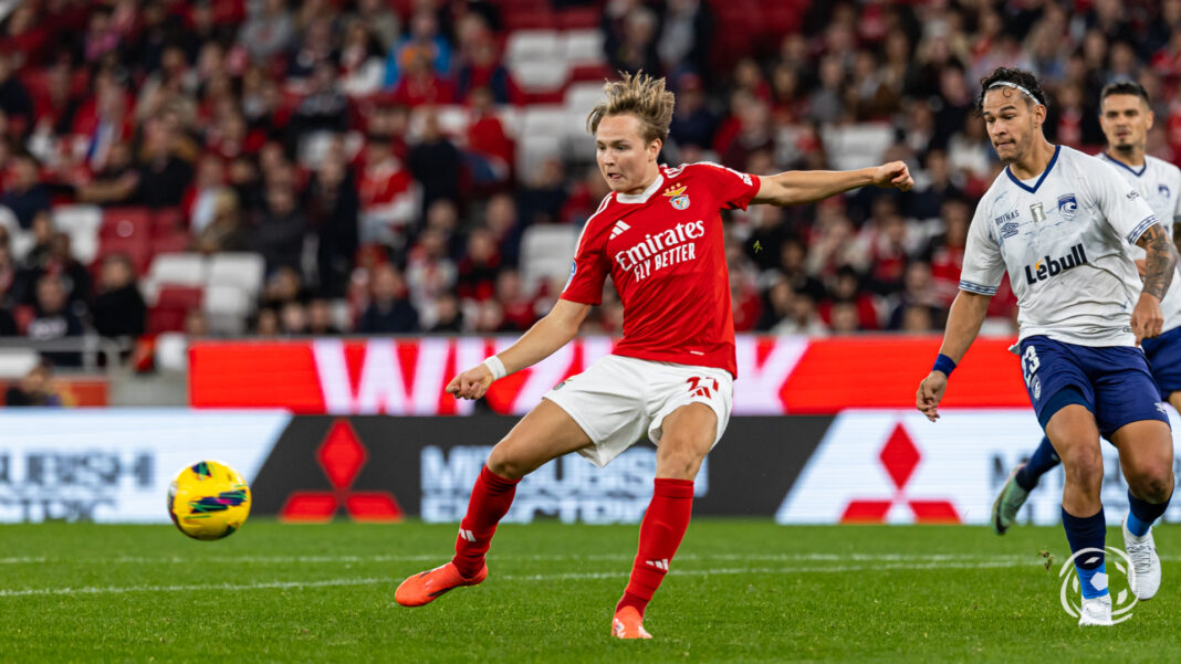 Andreas Schjelderup Andreas Schjelderup