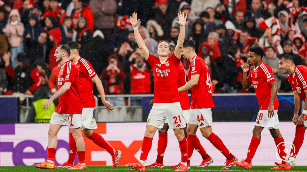 Andreas Schjelderup Benfica Jogadores Andreas Schjelderup Benfica Jogadores