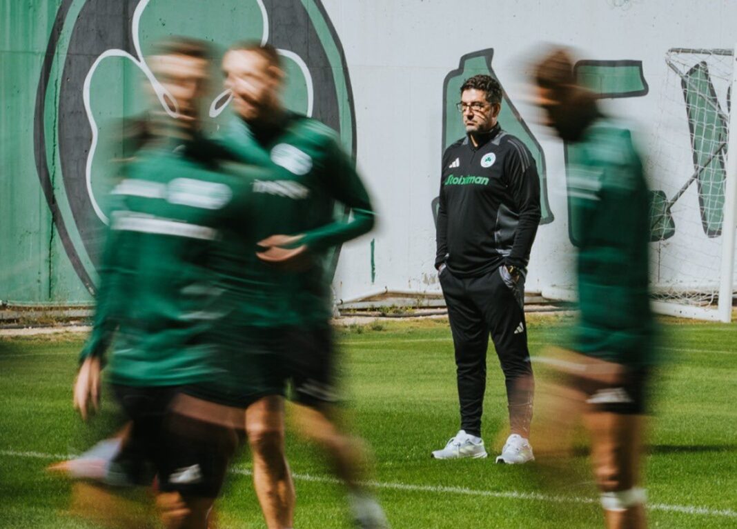Rui Vitória Panathinaikos