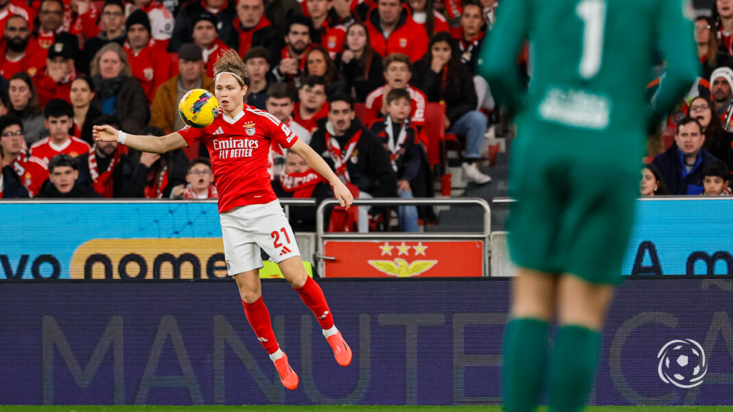 Andreas Schjelderup Andreas Schjelderup Benfica