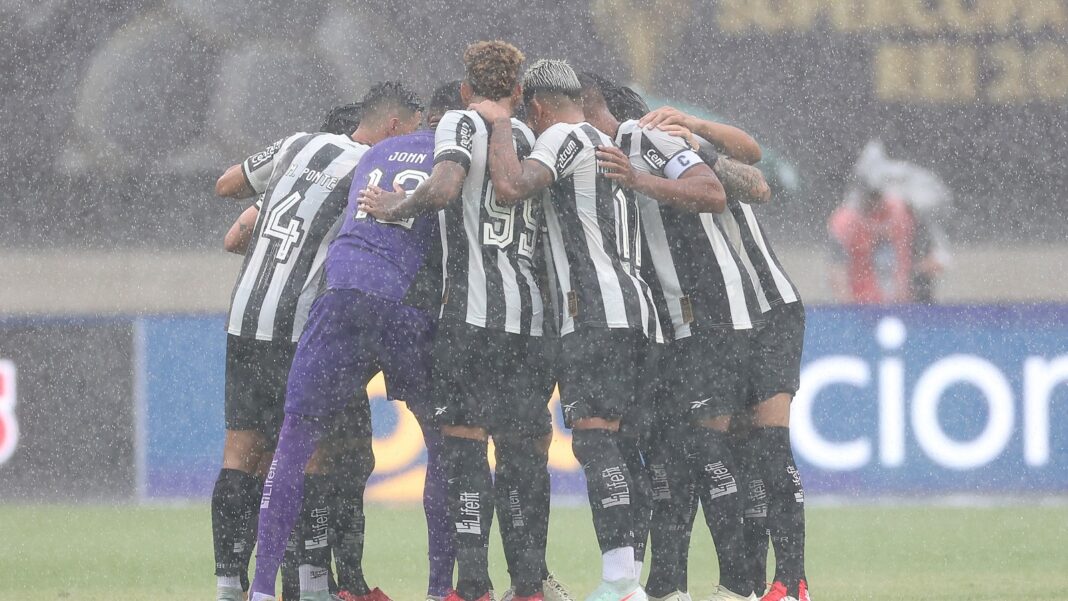 Botafogo Jogadores Botafogo Jogadores